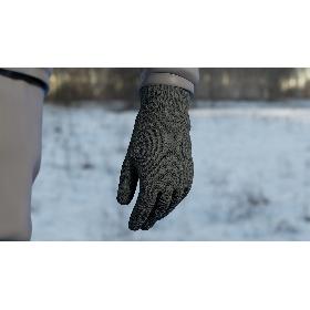 Gloves 2 model